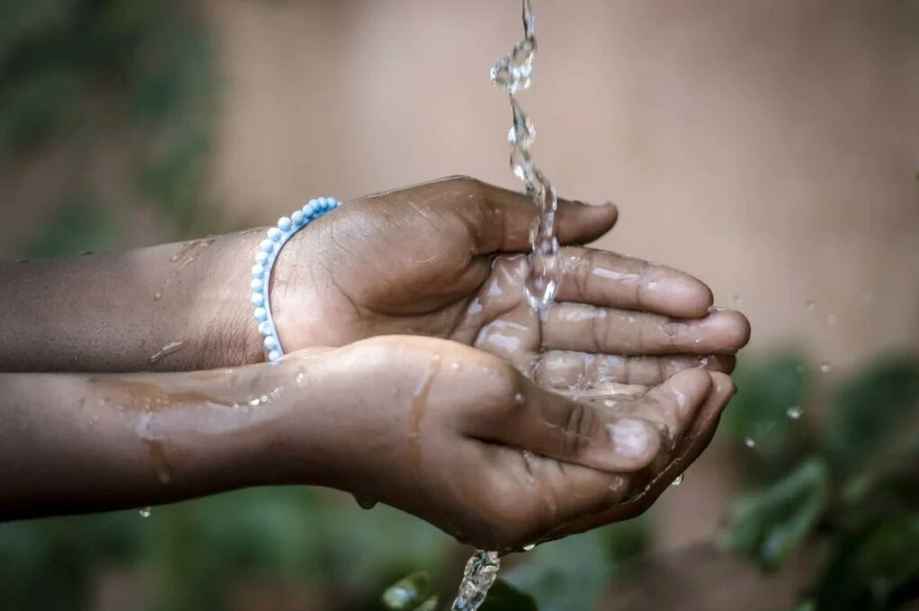 Urso Insuportavel Urso Insuportavel